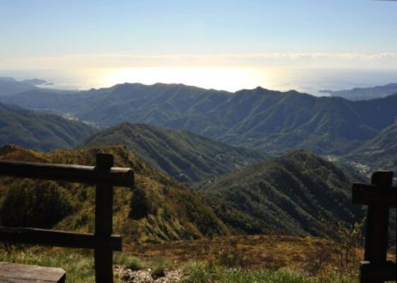 Monte Caucaso2