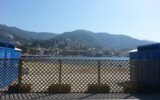Mare Rapallo1