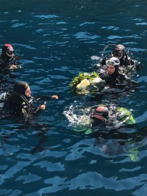 I subacquei di Santa Margherita puliscono i fondali