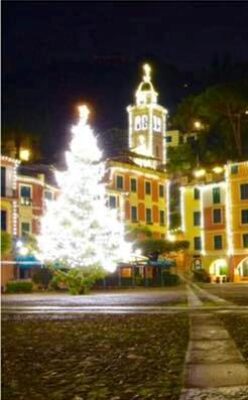 albero Natale Portofino