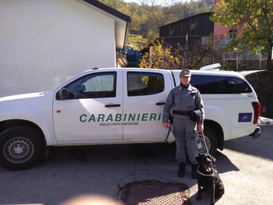 Il nucleo antiveleno dei carabinieri forestali sta perlustrando le zone di Casafredda ed Alpicella