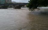 Entella