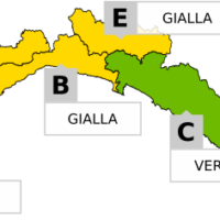 allerta