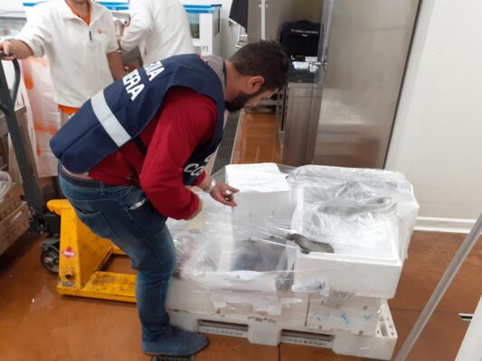 La capitaneria ha sequestrato 540 kg di pesce: i risultati della maxi operazione nel Tigullio
