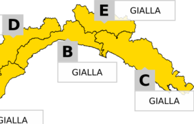 allerta