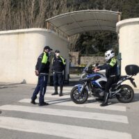 Via Preli