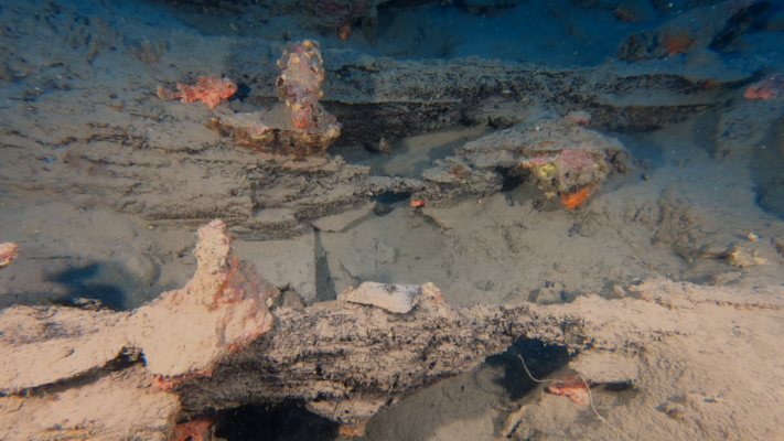 Eccezionale ritrovamento archeologico nel mare di Camogli