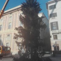 albero di Natale Genova