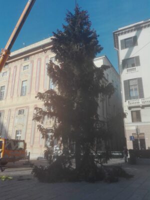 albero di Natale Genova