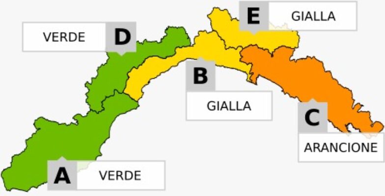 VGAVG (1) VGAVG (1)