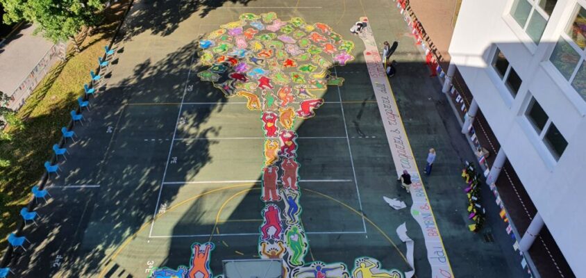 Albero IC Sestri 5 Albero IC Sestri 5