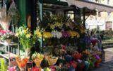 chiosco rivendita fiori mercato giornaliero recco