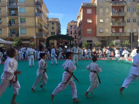 judo judo