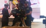 premio fedeltà del cane