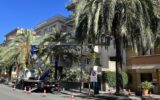 palme