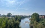 Entella