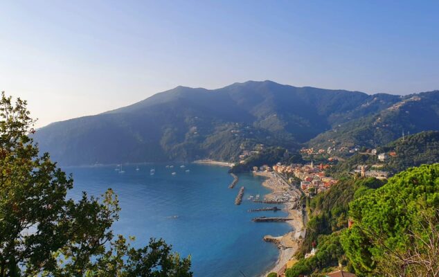 moneglia moneglia