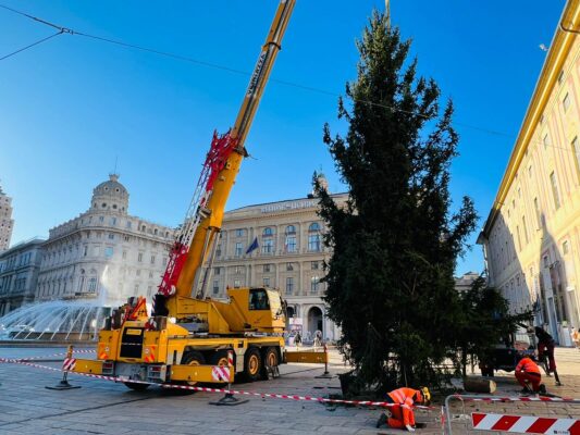 2911 arrivo albero Natale De Ferrari3 2911 arrivo albero Natale De Ferrari3
