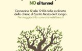 un albero conto il tunnel