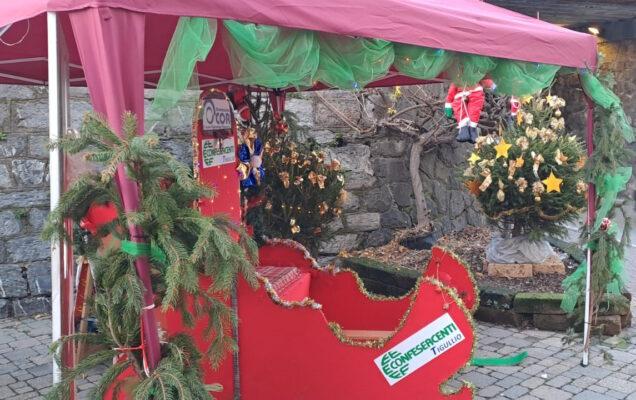 01 slitta Cor Rapallo slitta