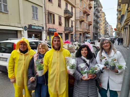 Distribuzione piante ornamentali COR
