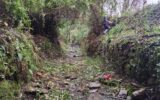 pulizia corsi d'acqua cicagna