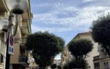 alberi lampioni corso risorgimento lavagna