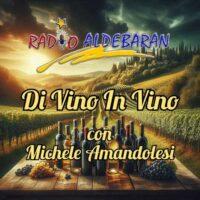 DiVinoInVino ci fa scoprire un'ottima BARBERA D'ASTI!