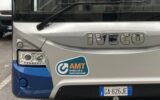 autobus amt