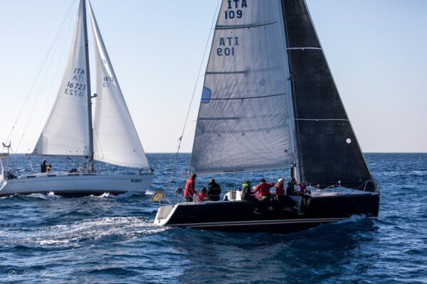 Vela vela