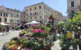 chiavari in fiore