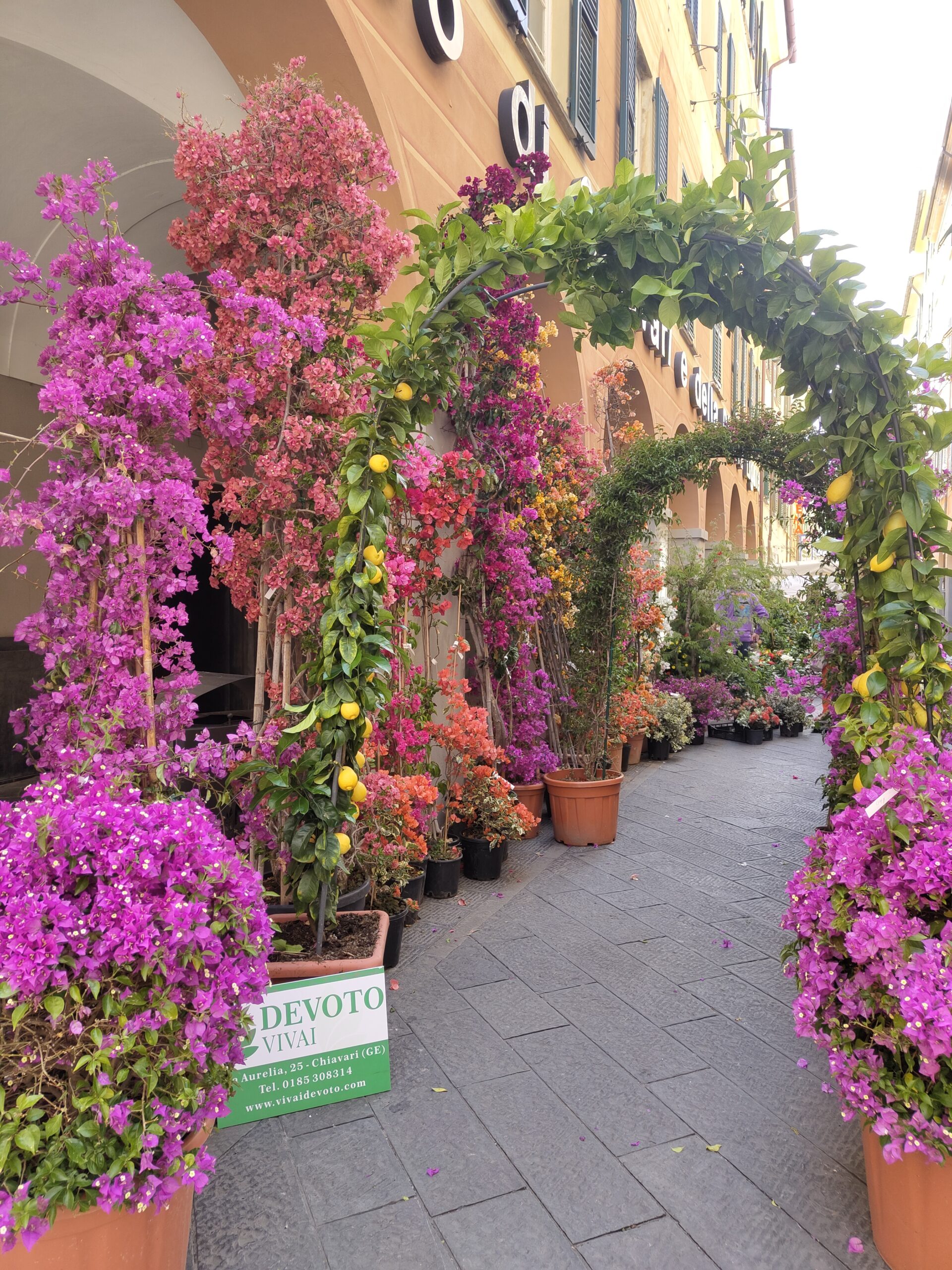 Torna Chiavari in fiore