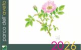 calendario