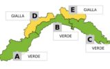 allerta