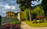 rischio cadute piante cicagna