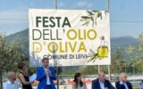 Leivi