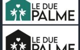 due palme_6