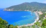 moneglia