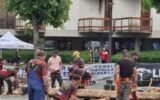 Foto 2 - Suoni di solidarietà - Gruppo Boscaioli