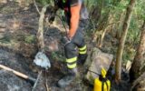 vigili fuoco incendio bosco carasco