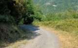 IMG-20260711-WA0025