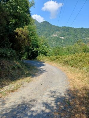 IMG-20260711-WA0025