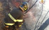 vigili del fuoco della spezia